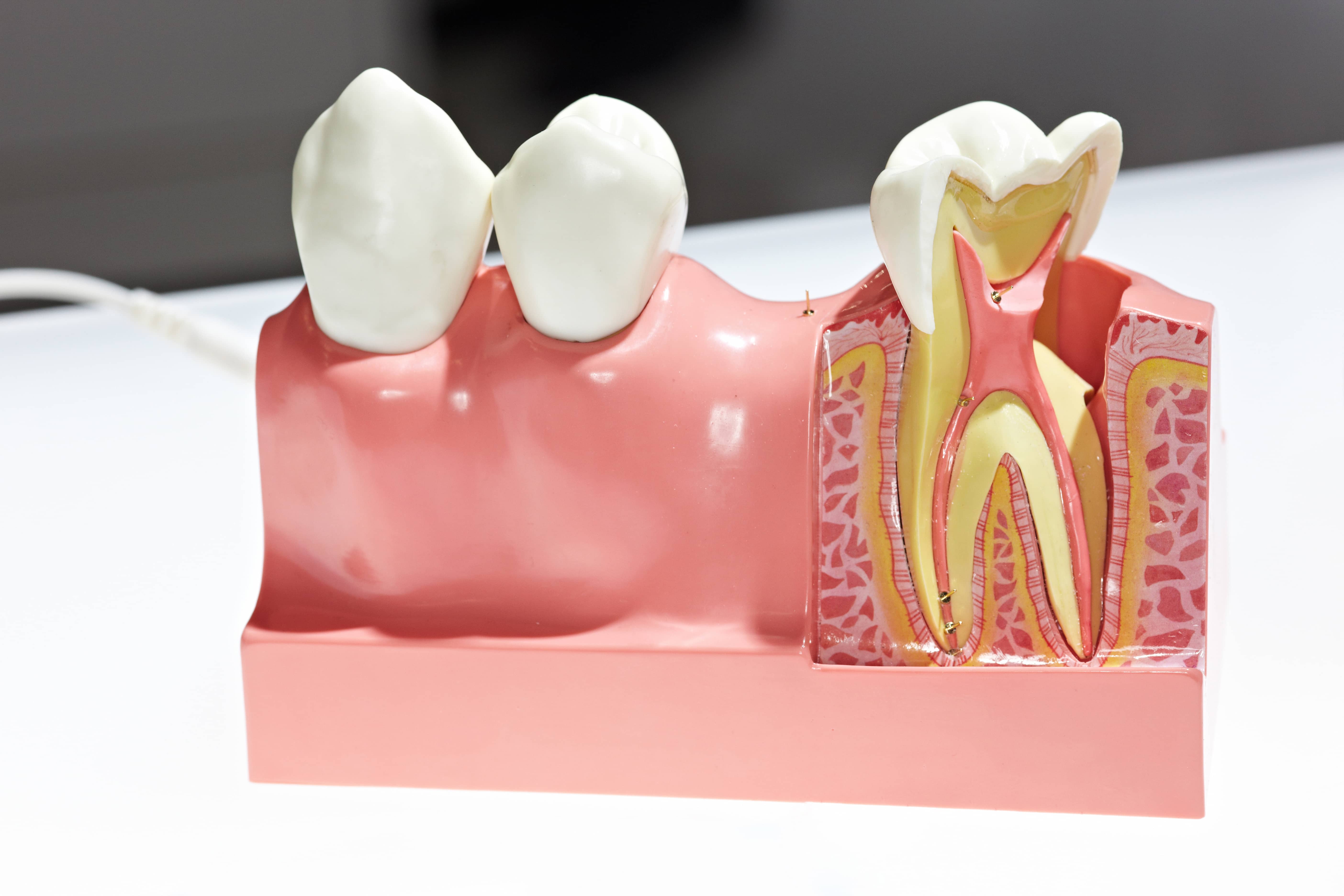 CRAFTING SOLUTIONS FOR COMPLEX DENTAL NEEDS